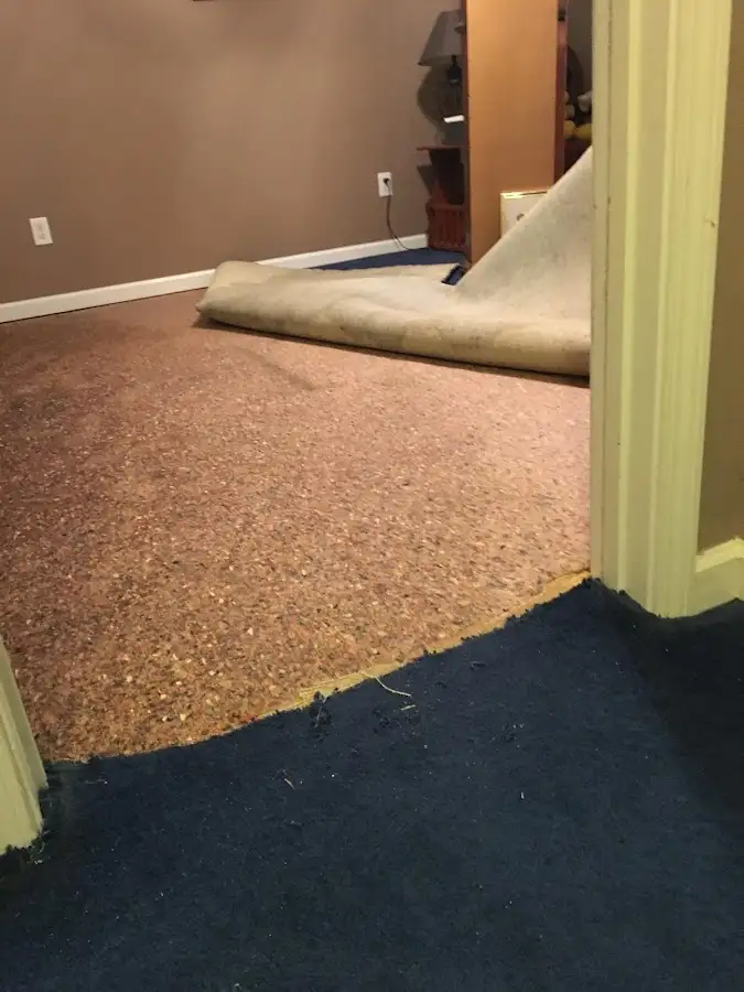 Carpet pad removal revealing water damage during Water Mitigation Services in Mahtomedi