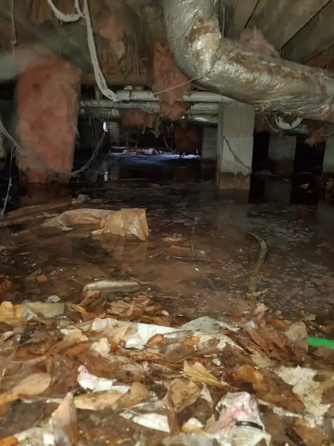 Crawl space flood assessment for Leak Detection & Repair in Mahtomedi