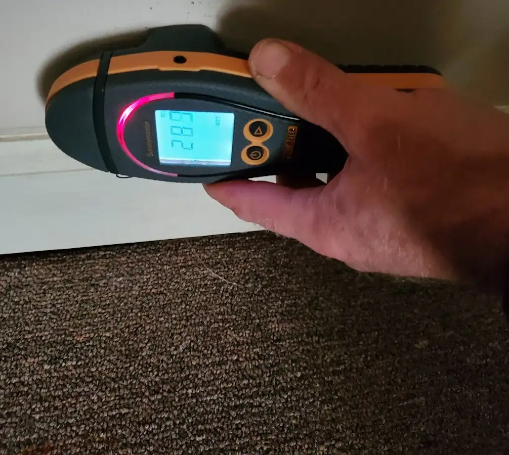 Moisture detection at baseboard during Mold Inspection & Testing in Mahtomedi